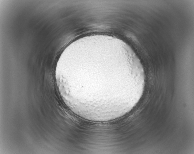 X0000063451354200602171846