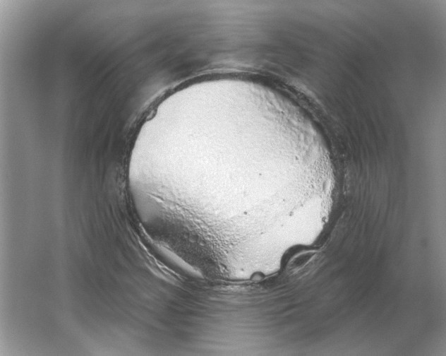 X0000063451355200602171846