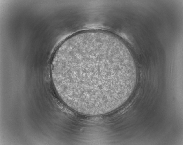 X0000063451358200602171846