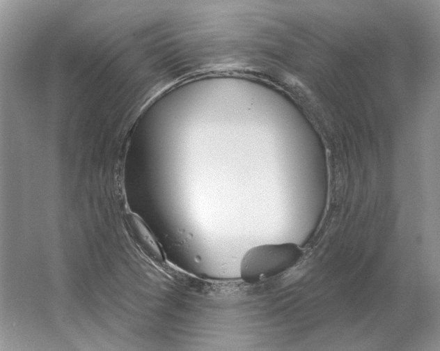 X0000063451361200602171846