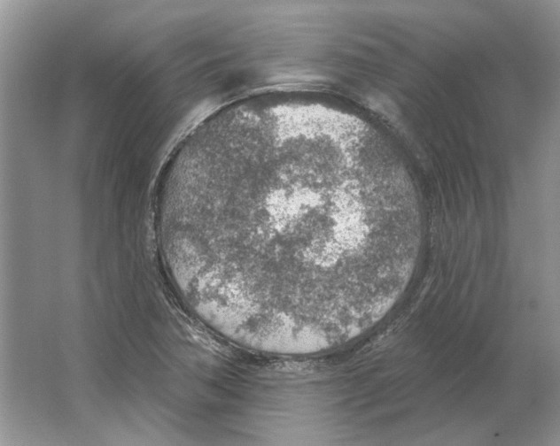 X0000063451362200602171846