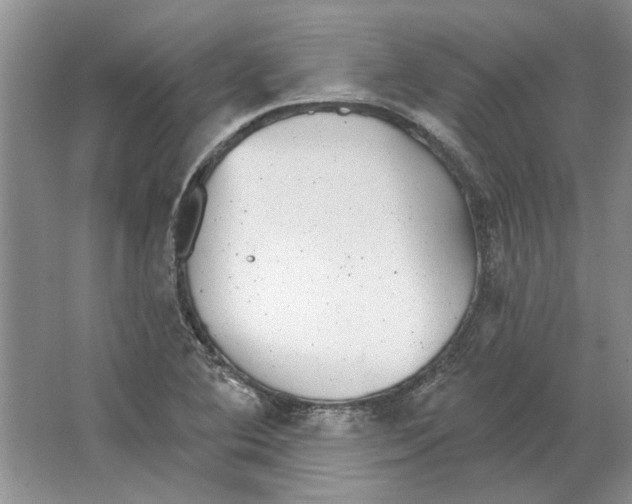 X0000063451364200602171846