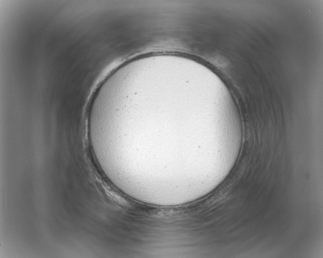 X0000063451366200602171846