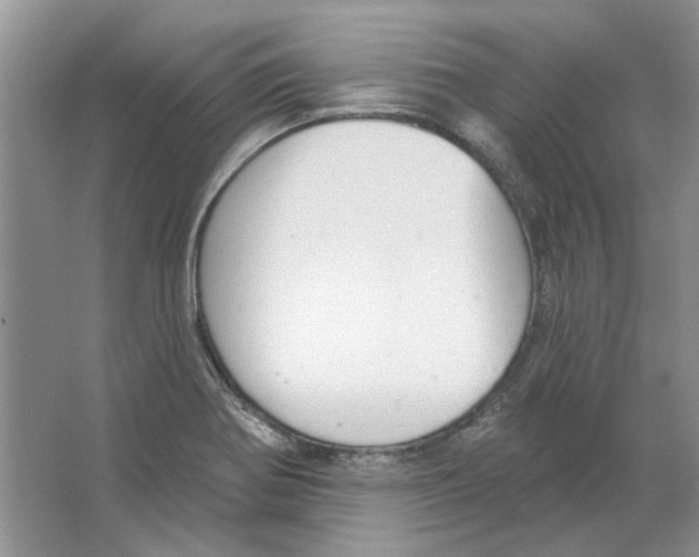 X0000063451370200602171846