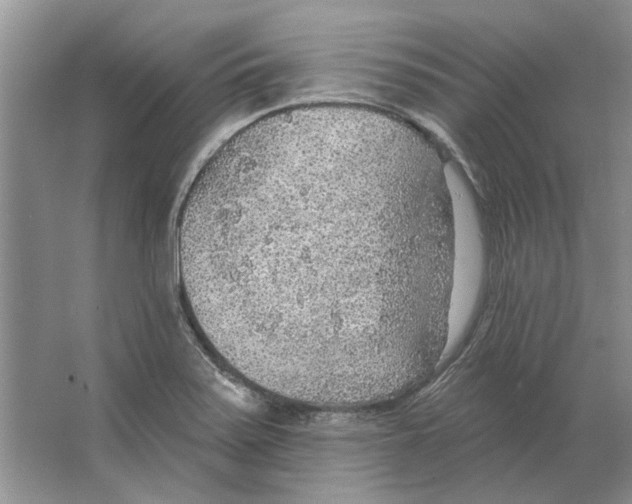 X0000063451371200602171846