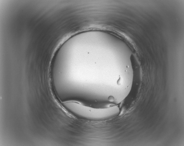 X0000063451373200602171846