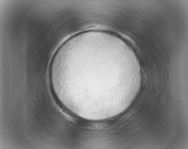 X0000063451375200602171846