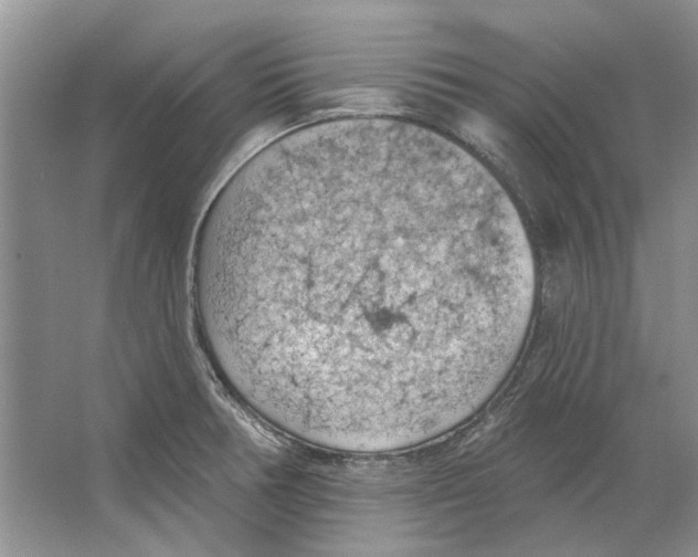 X0000063451378200602171846