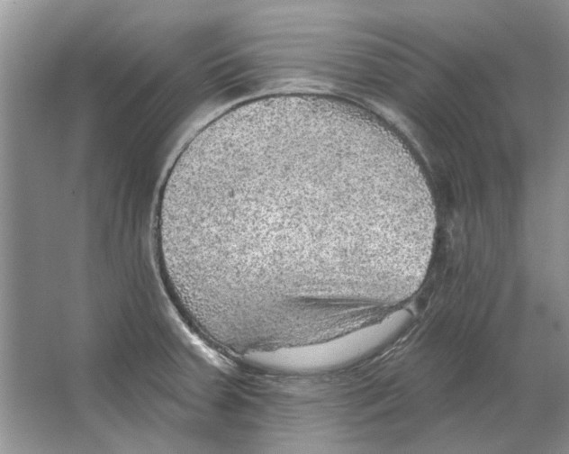 X0000063451379200602171846