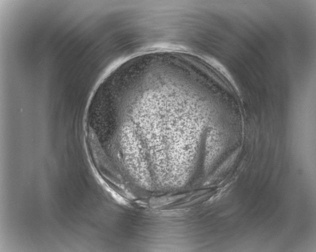 X0000063451381200602171846