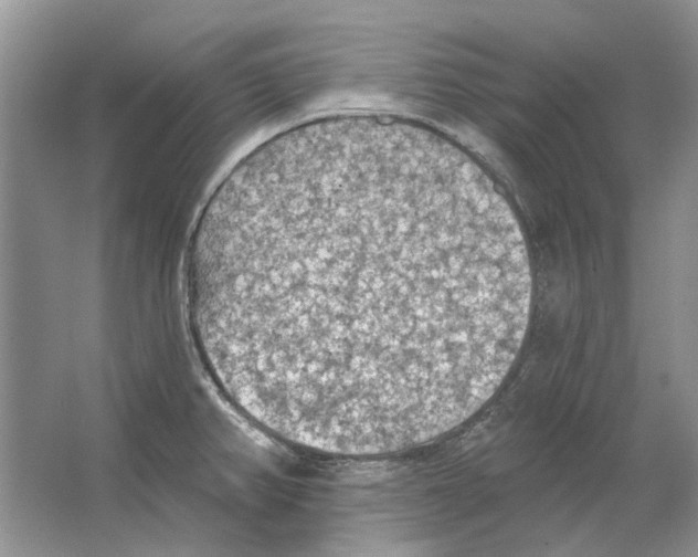 X0000063451382200602171846