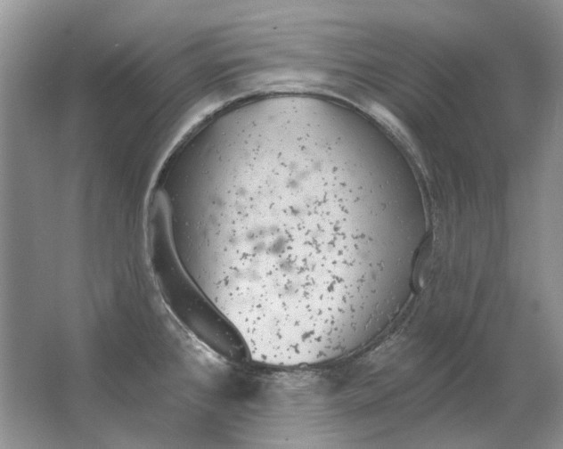 X0000063451384200602171846