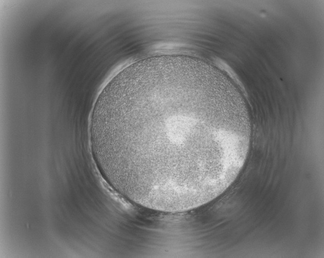 X0000063451386200602171846