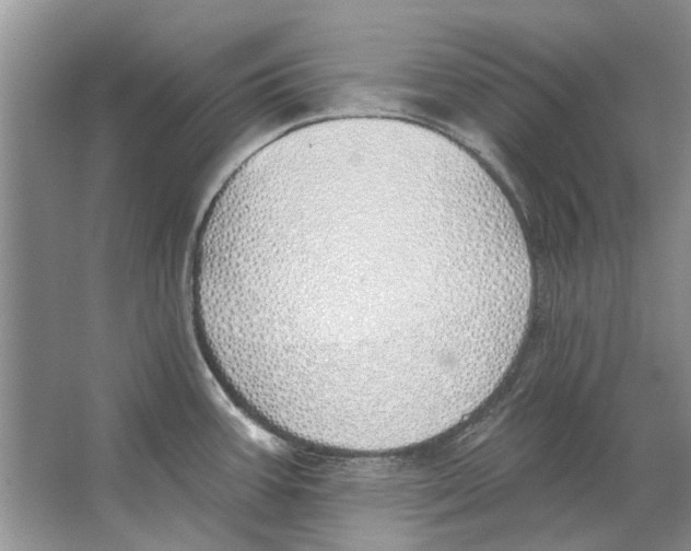 X0000063451387200602171846