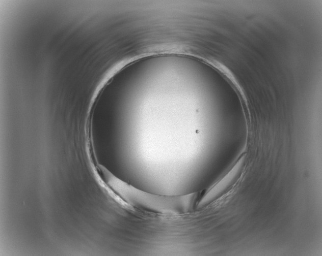 X0000063451389200602171846