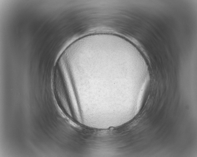 X0000063451390200602171846