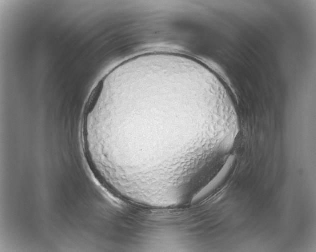 X0000063451391200602171846