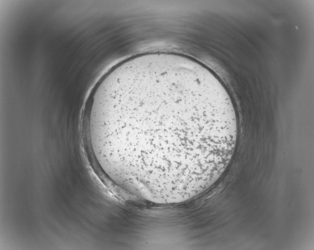 X0000063451392200602171846