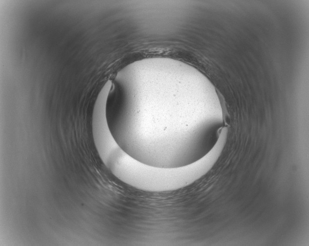 X0000063451394200602171845