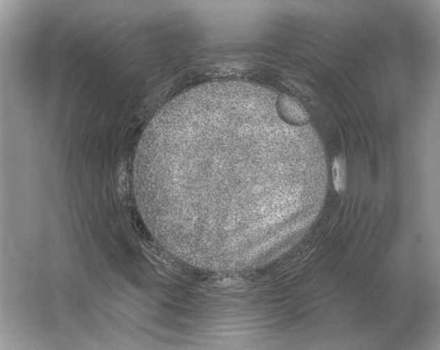 X0000063451395200602171845