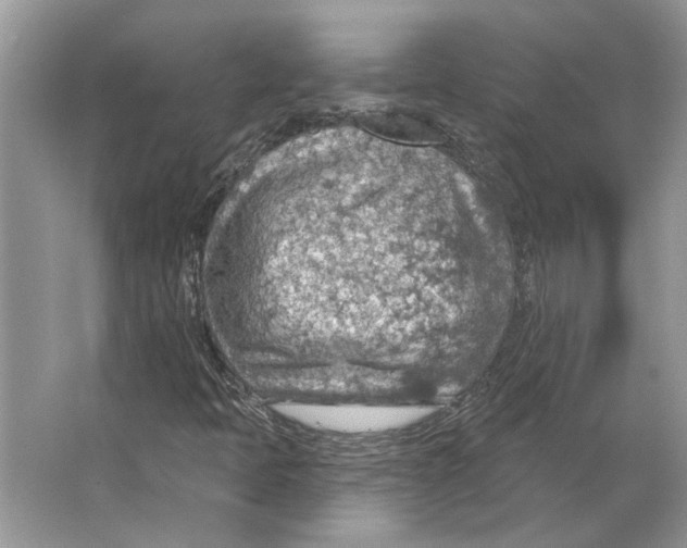 X0000063451397200602171845