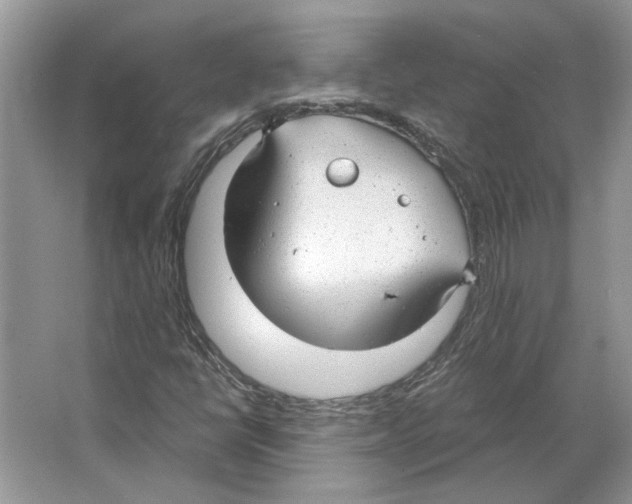 X0000063451398200602171845