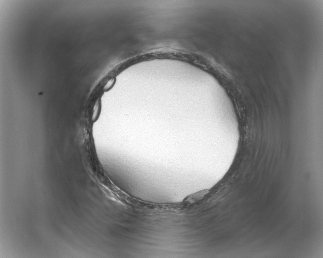 X0000063451400200602171845