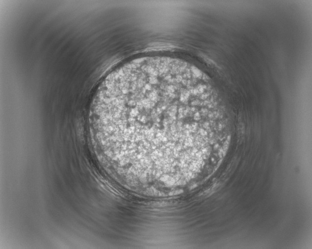 X0000063451401200602171845