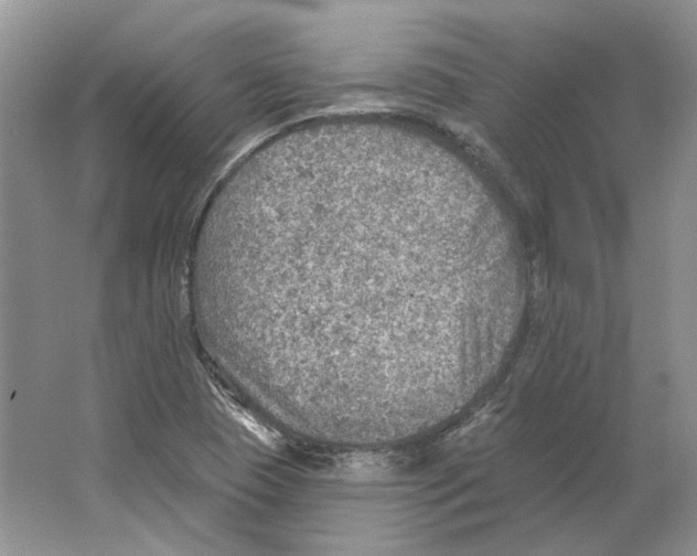 X0000063451409200602171845