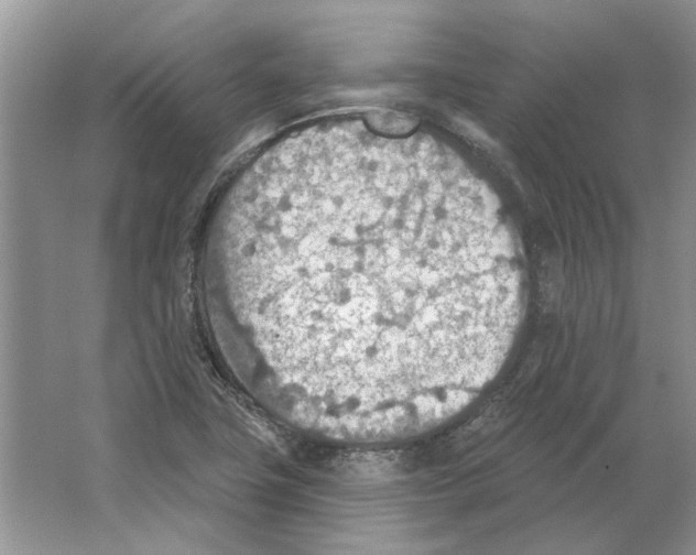 X0000063451411200602171845