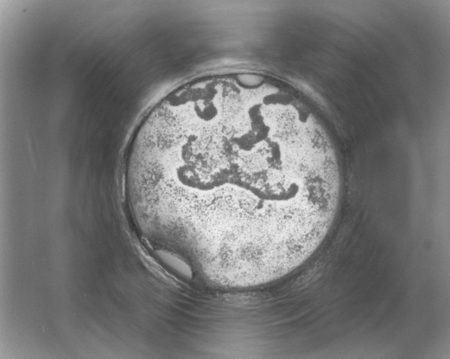 X0000063451413200602171845