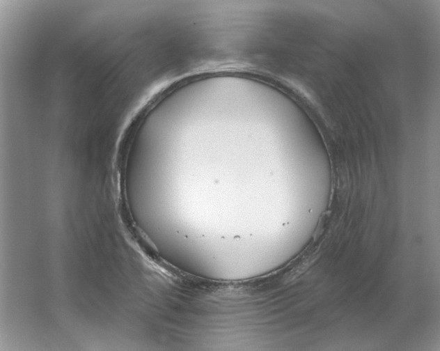 X0000063451414200602171845