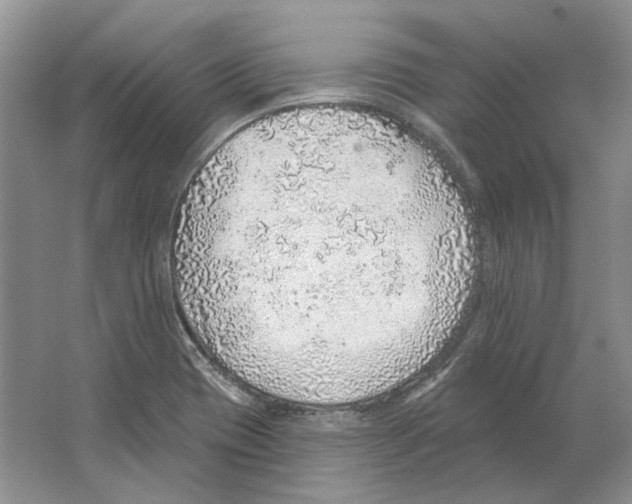 X0000063451417200602171845