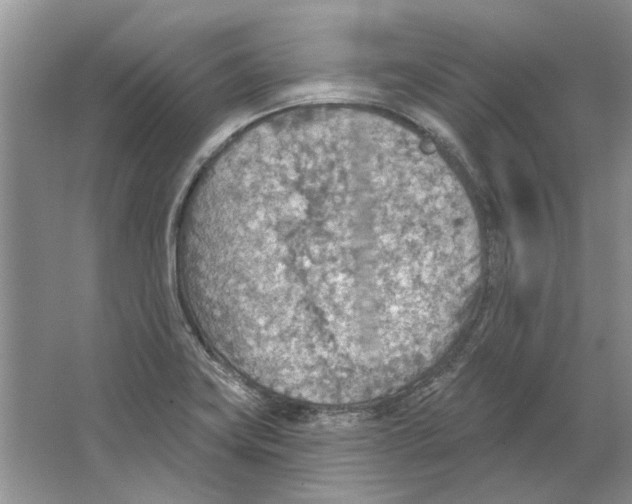 X0000063451419200602171845