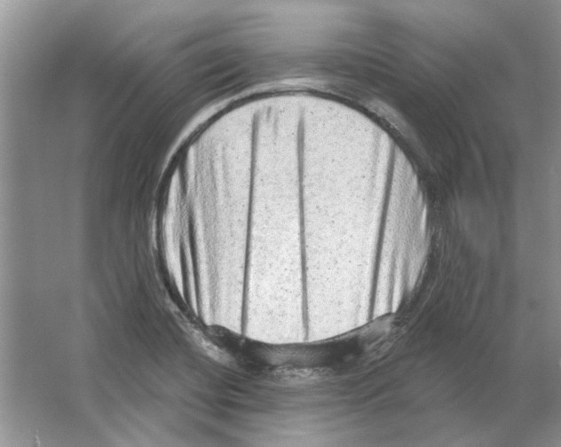 X0000063451420200602171845