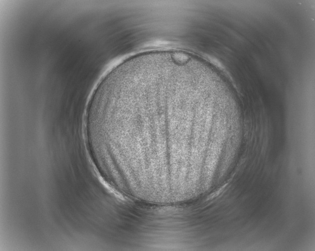 X0000063451421200602171845