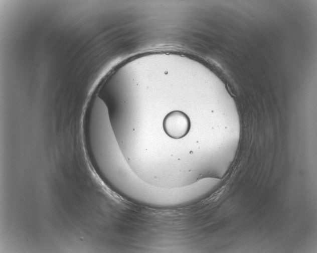 X0000063451422200602171845