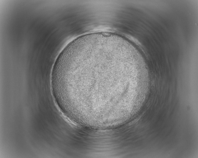 X0000063451423200602171845