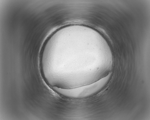 X0000063451424200602171845