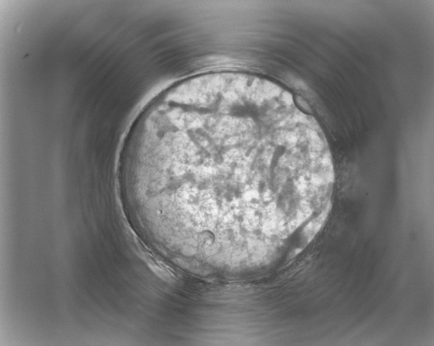 X0000063451427200602171845