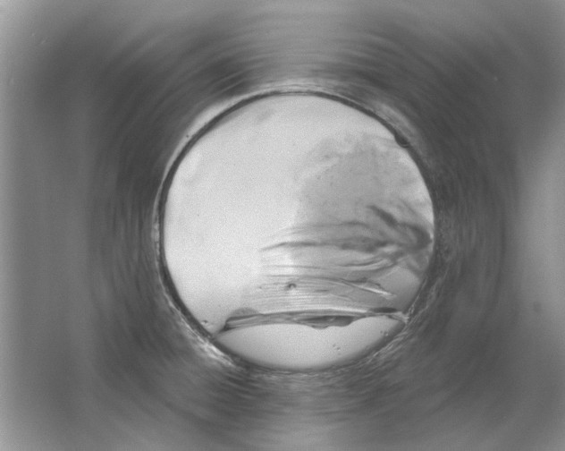 X0000063451428200602171845