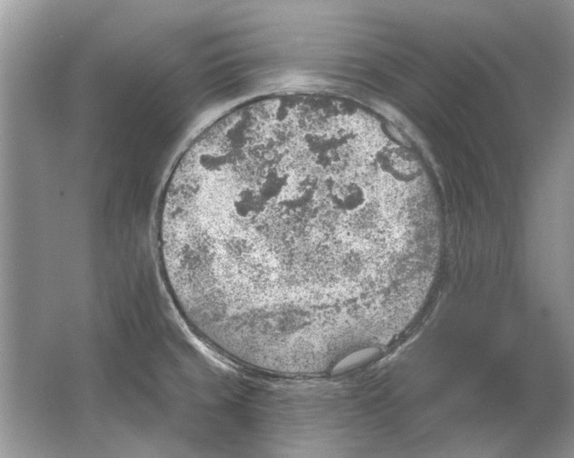 X0000063451429200602171845