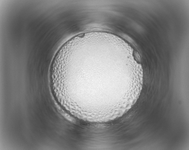 X0000063451431200602171845