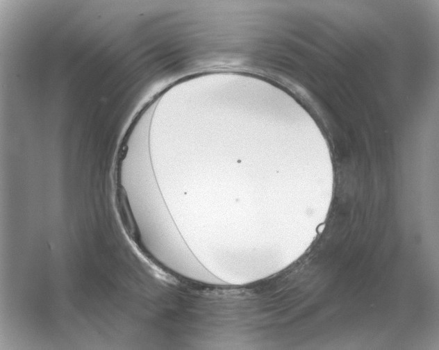 X0000063451432200602171845