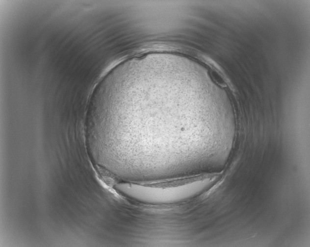 X0000063451433200602171846