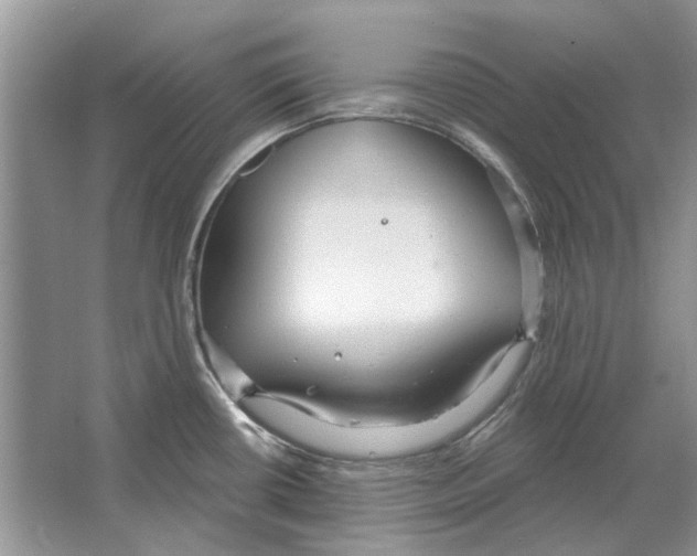 X0000063451434200602171846