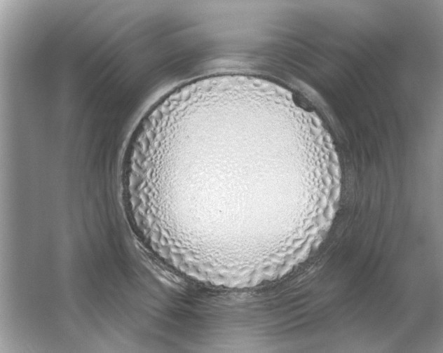 X0000063451435200602171846