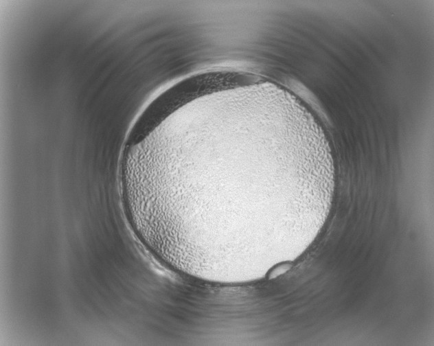 X0000063451436200602171846