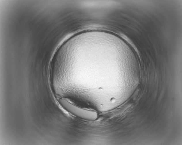 X0000063451437200602171846