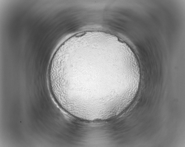 X0000063451440200602171846